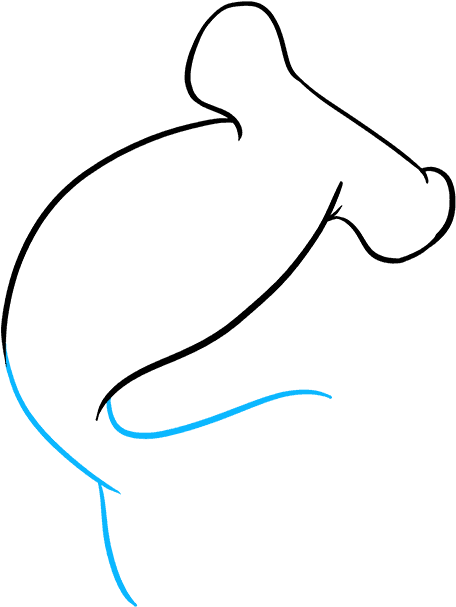 How To Draw Hammerhead Shark - Hammerhead Shark Clipart (680x678), Png Download