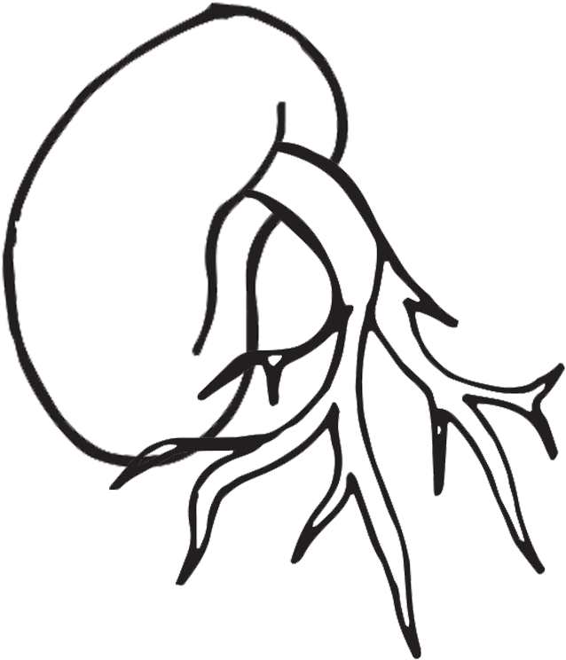 Plant Life Cycle Clipart, Worksheet & Coloring Page - Clip Art - Png Download (1000x1000), Png Download