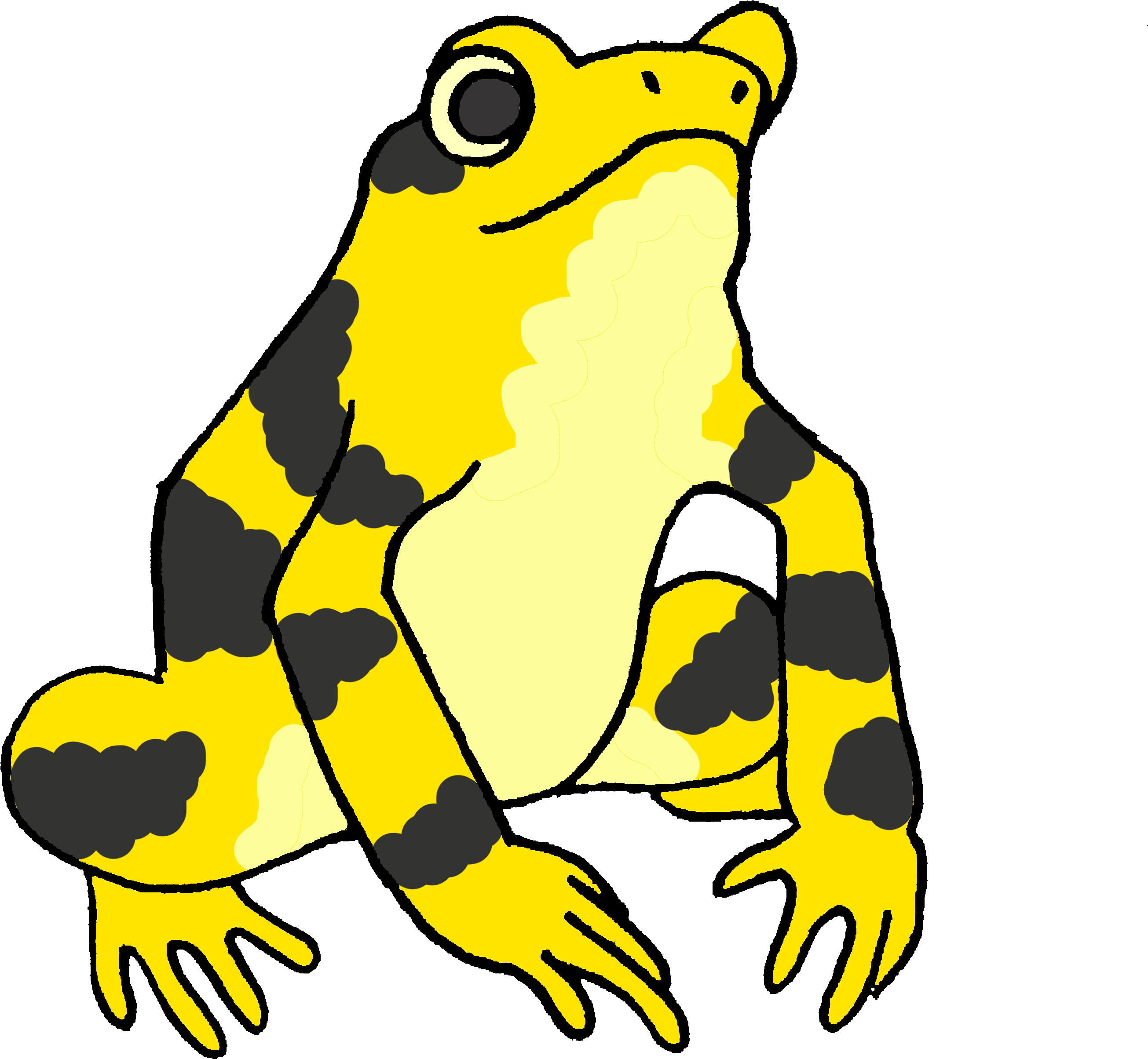 Picture - Panamanian Golden Frog Cartoon Clipart (800x800), Png Download