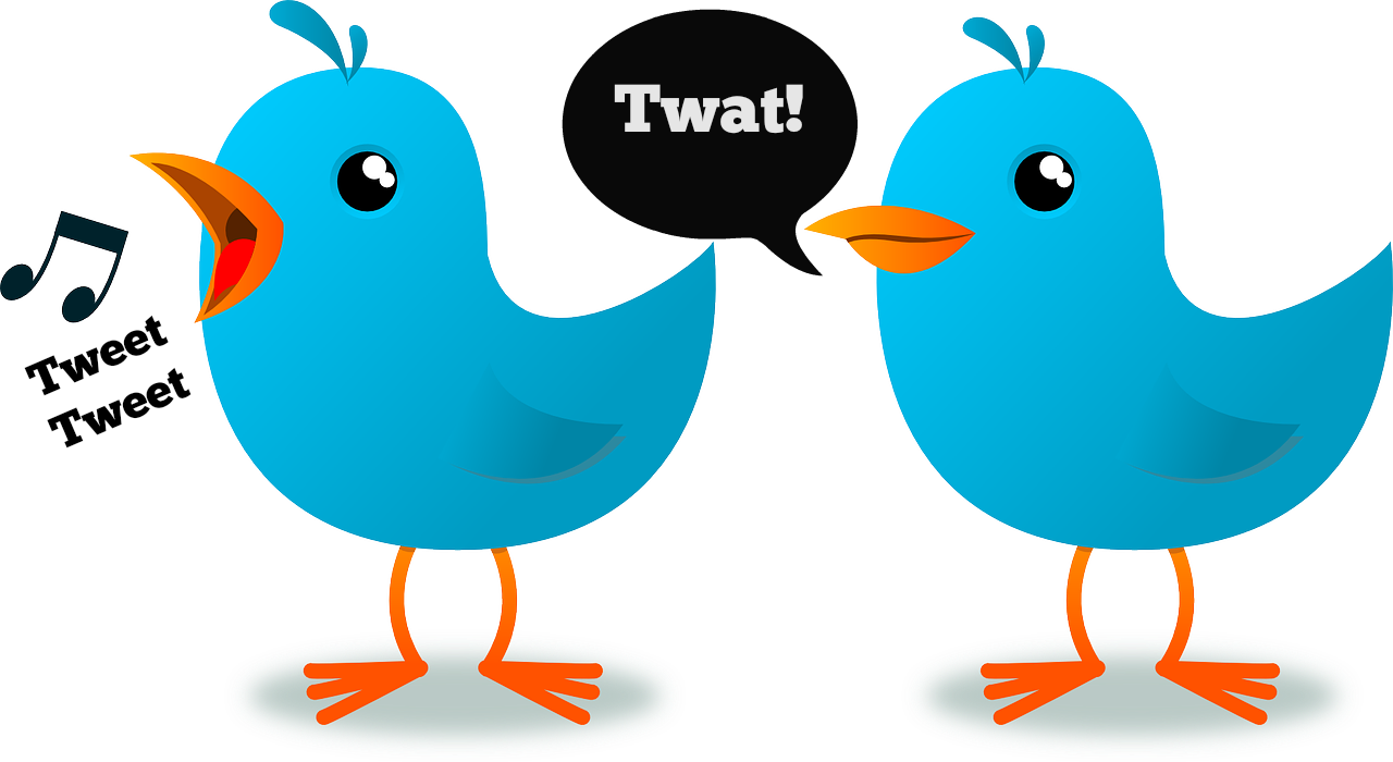 Twatter Mastodon Hosted On Twatter - Twitter Bird Clipart (1280x700), Png Download