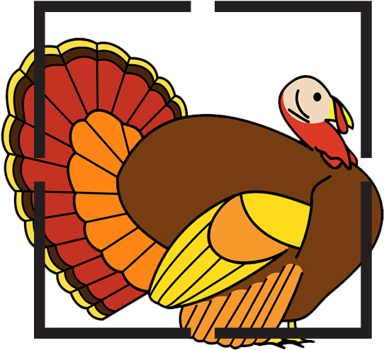 Turkey - Color Turkey Clipart (570x570), Png Download