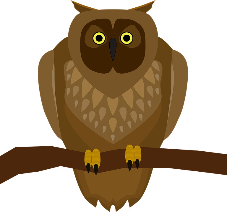 Owl Cartoon Png 22, Buy Clip Art - Brown Owl Shower Curtain Transparent Png (768x720), Png Download