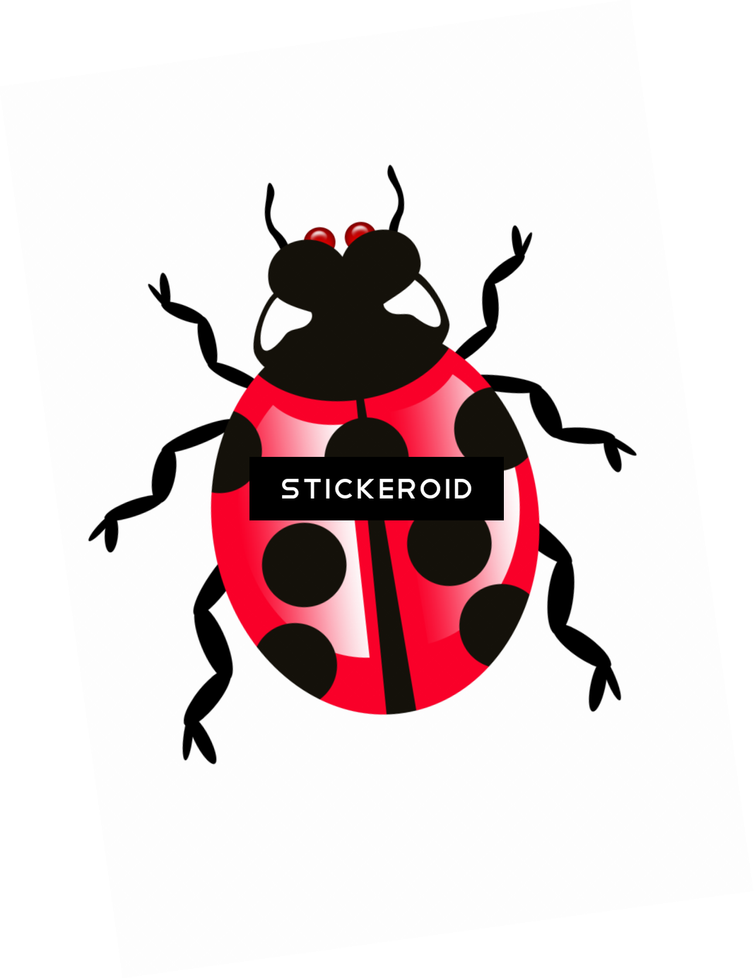 Beetle Bug Bugs - Portable Network Graphics Clipart (1067x1385), Png Download