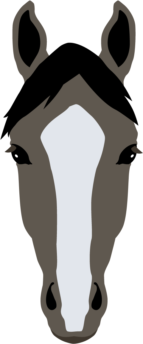 Blaze - Horse Markings Clipart (1800x1400), Png Download