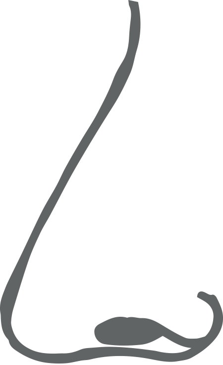 Smell Mint & Lemon Clipart (450x734), Png Download