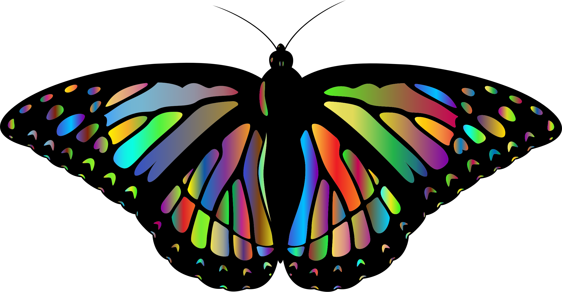 All Photo Png Clipart - Ala De Mariposa Monarca Png Transparent Png (1443x750), Png Download
