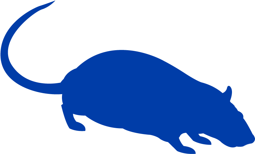 Mouse And Rat Prevention And Pest Control Tips From - Pest Control Clipart (874x493), Png Download