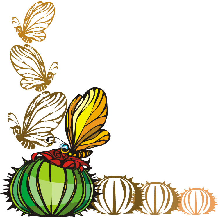 Cactus - Portable Network Graphics Clipart (750x750), Png Download