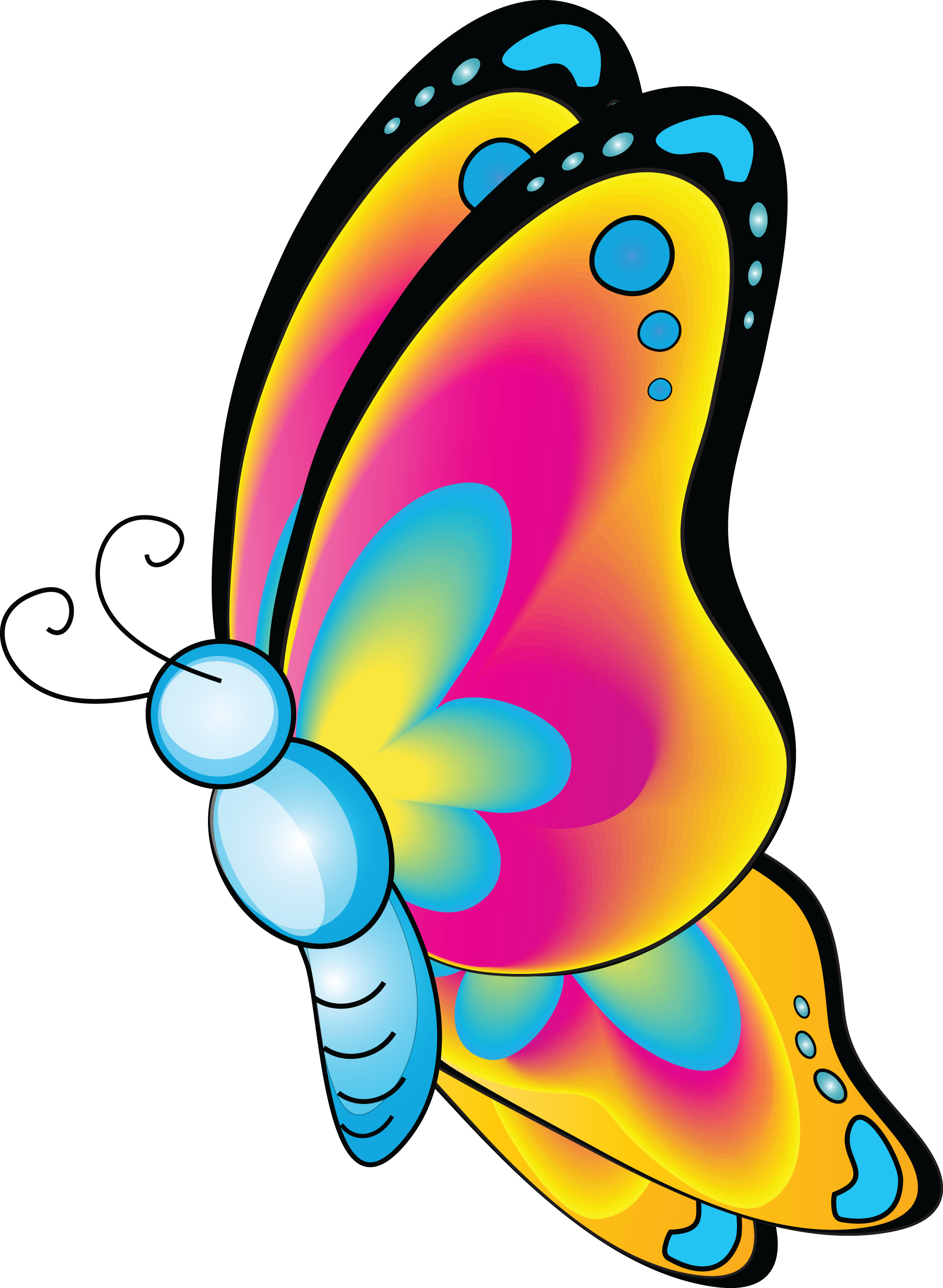 Uncategorized Epworth United Methodist Church Of Bethlehem, - Butterflies Cartoon Clipart (2000x2731), Png Download