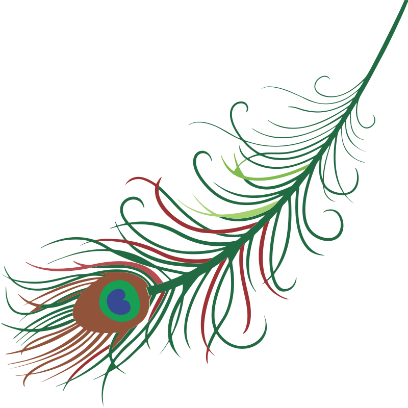 Peacock Feather - Peacock Feather Tattoo Clipart (800x800), Png Download