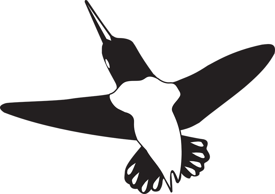 Free Hummingbird Clipart 20, Buy Clip Art - Hummingbird - Png Download (960x678), Png Download