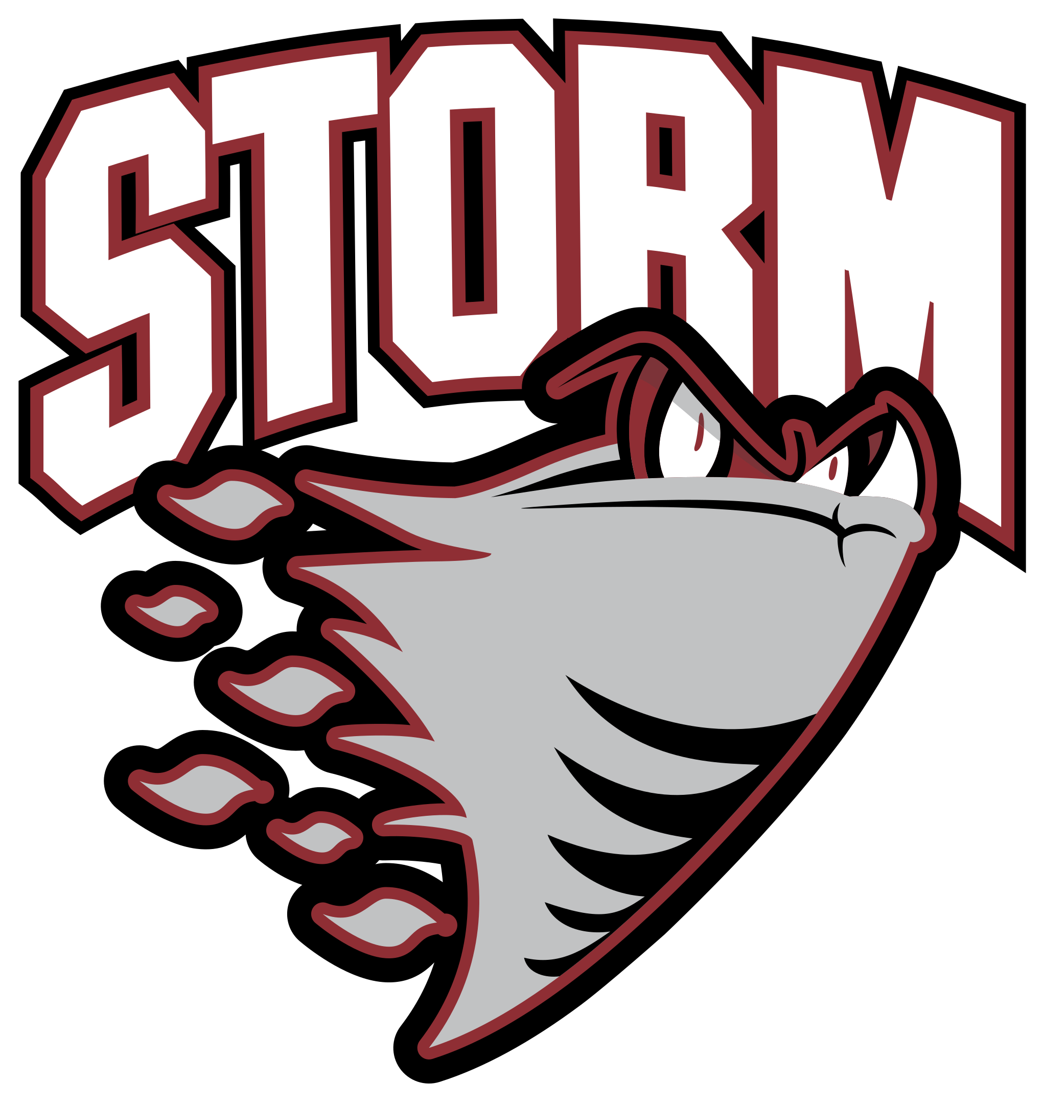 Msk Centre Is Proud To Provide Sports Medicine And - Guelph Storm Logo Png Clipart (2400x2400), Png Download