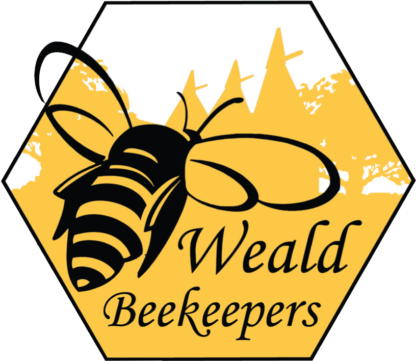 Bee-lieve Greeting Cards (pk Of 10) Clipart (831x718), Png Download