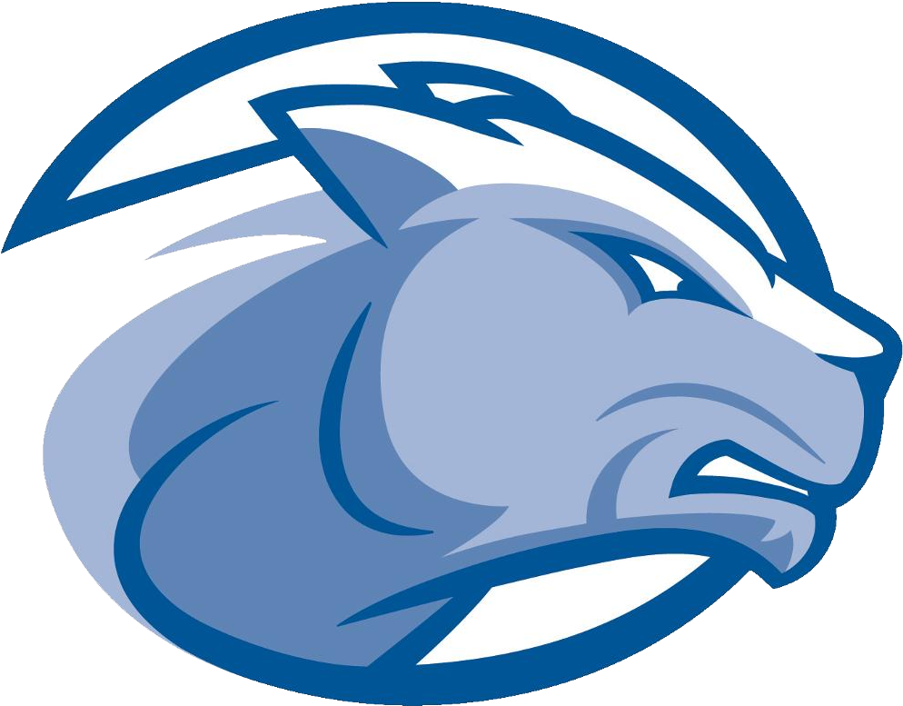 Wheaton Baseball Scores Results Schedule Roster Wheaton College Ma 