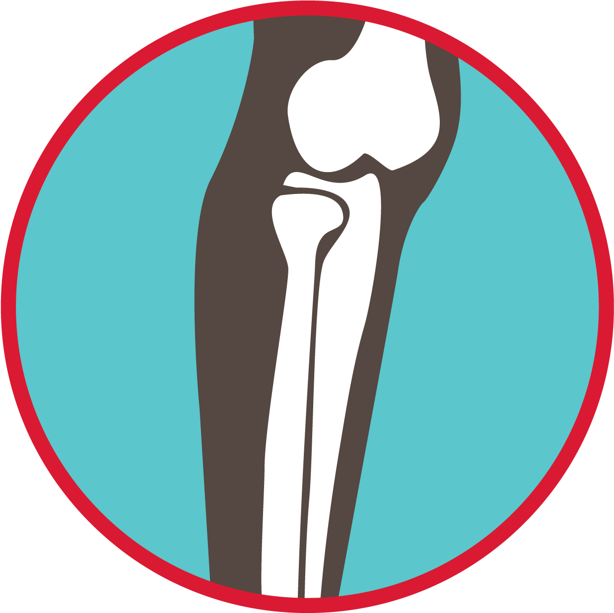 Bones Of The Leg Graphic - Howth Clipart (1251x1251), Png Download