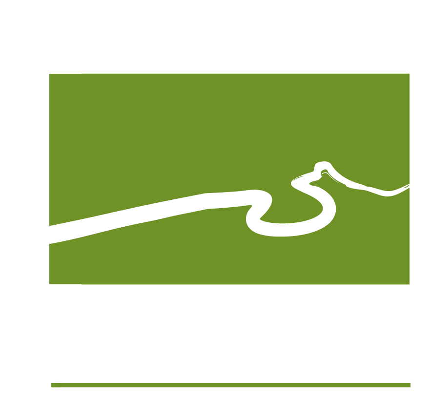 Grass Snake Clipart (951x914), Png Download