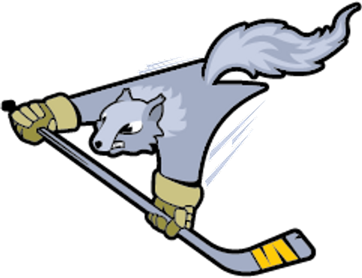 Flying Squirrel Clipart (1168x960), Png Download