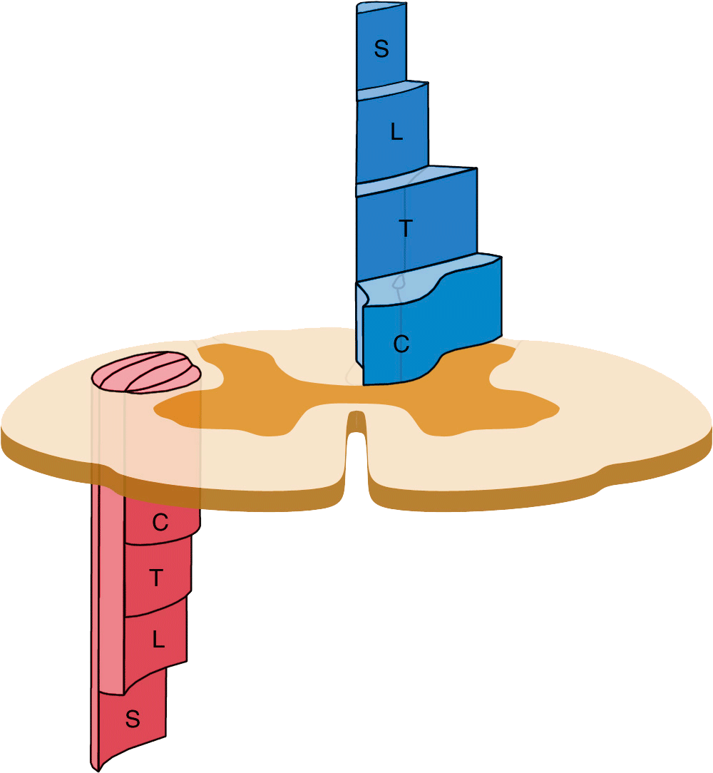 “our Small Practice Located In The Heart Of Fairfax - Back Pain Clipart (1200x1200), Png Download