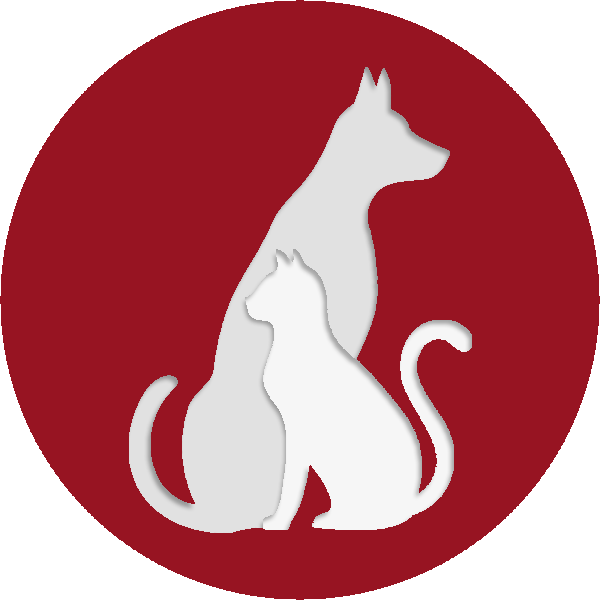 Surgery Offered - My Pet Wellness App Clipart (600x600), Png Download