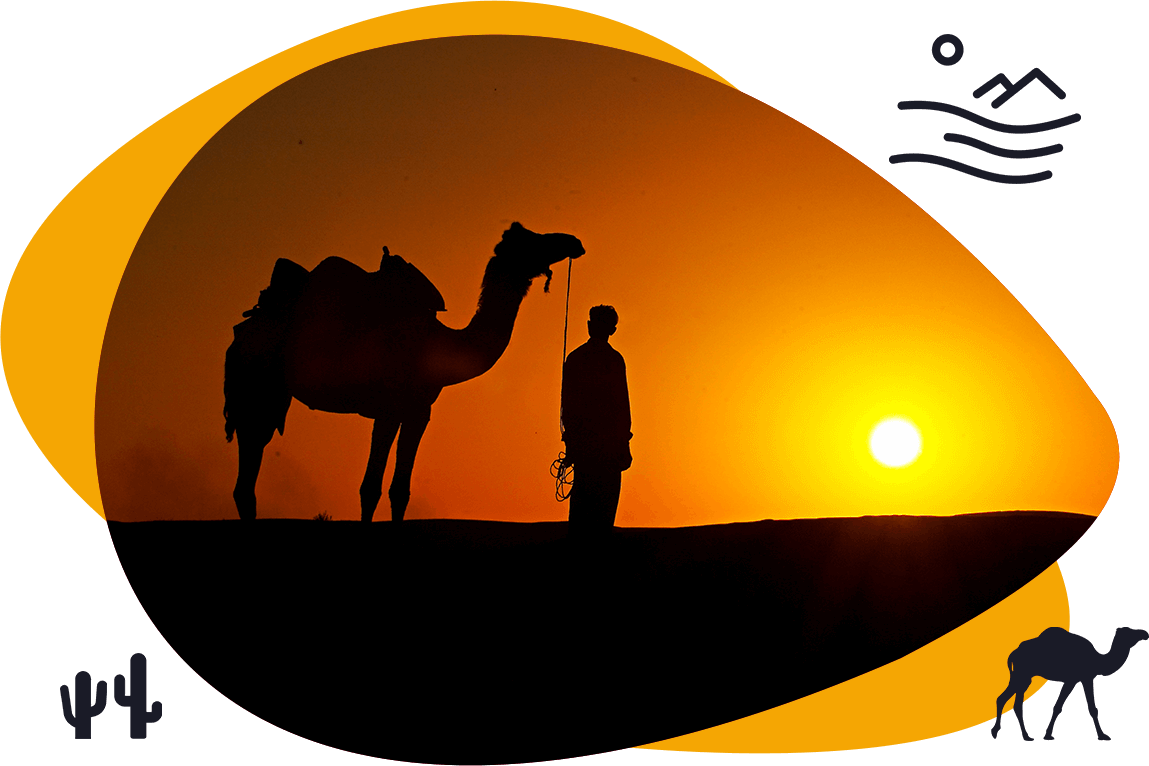 Half Day Sunset Camel Safari Shiva Camels Jaisalmer - Desert And Camel Background Clipart (1149x766), Png Download