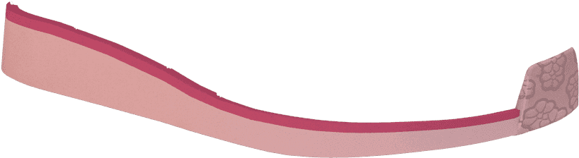 C06 Pink/fuchsia - Coin Purse Clipart (1024x768), Png Download