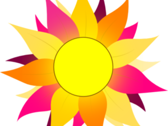 Sunflower Clipart Colorful - Sun With Pink & Purple Rays Mugs - Png Download (640x480), Png Download