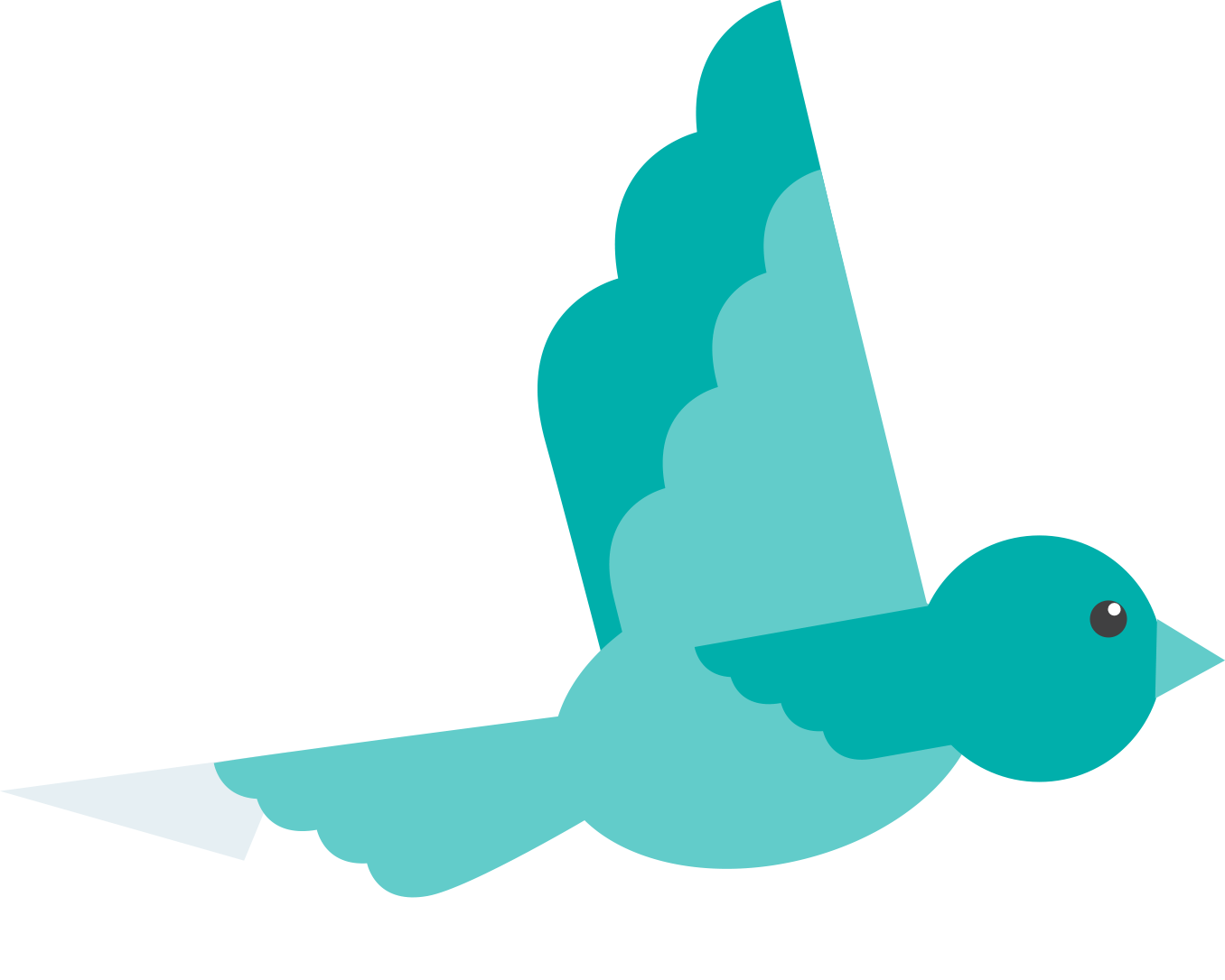 Pigeon - Pigeons And Doves Clipart (1356x1086), Png Download