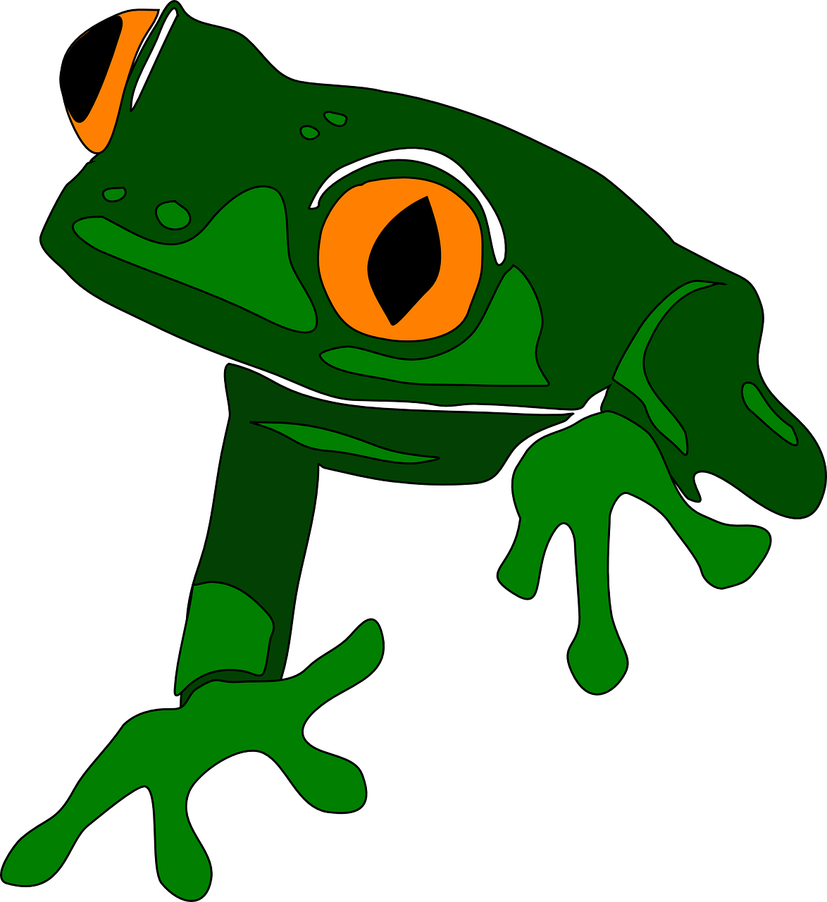 Frog Clipart - Frog Clip Art - Png Download (1174x1280), Png Download
