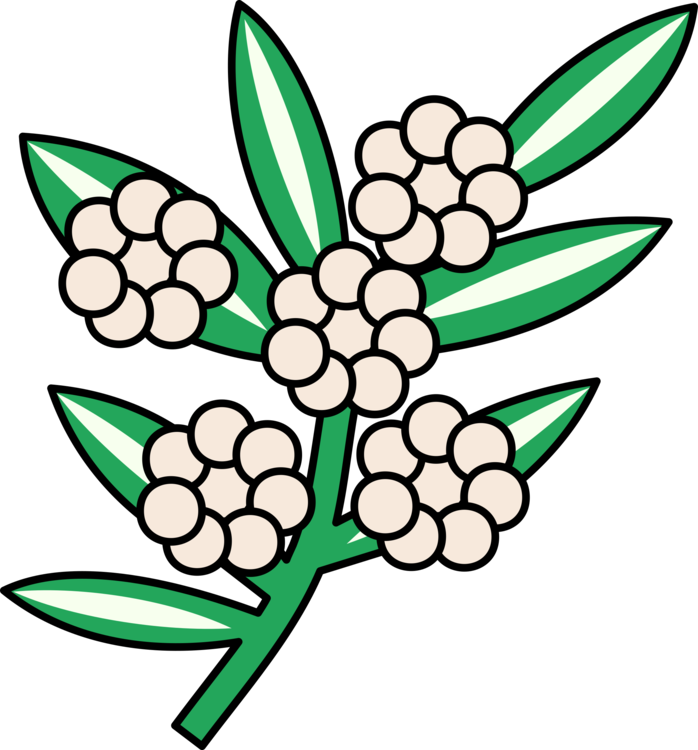 Cut Flowers Computer Icons Calophyllum Petal - Clip Art - Png Download (698x750), Png Download