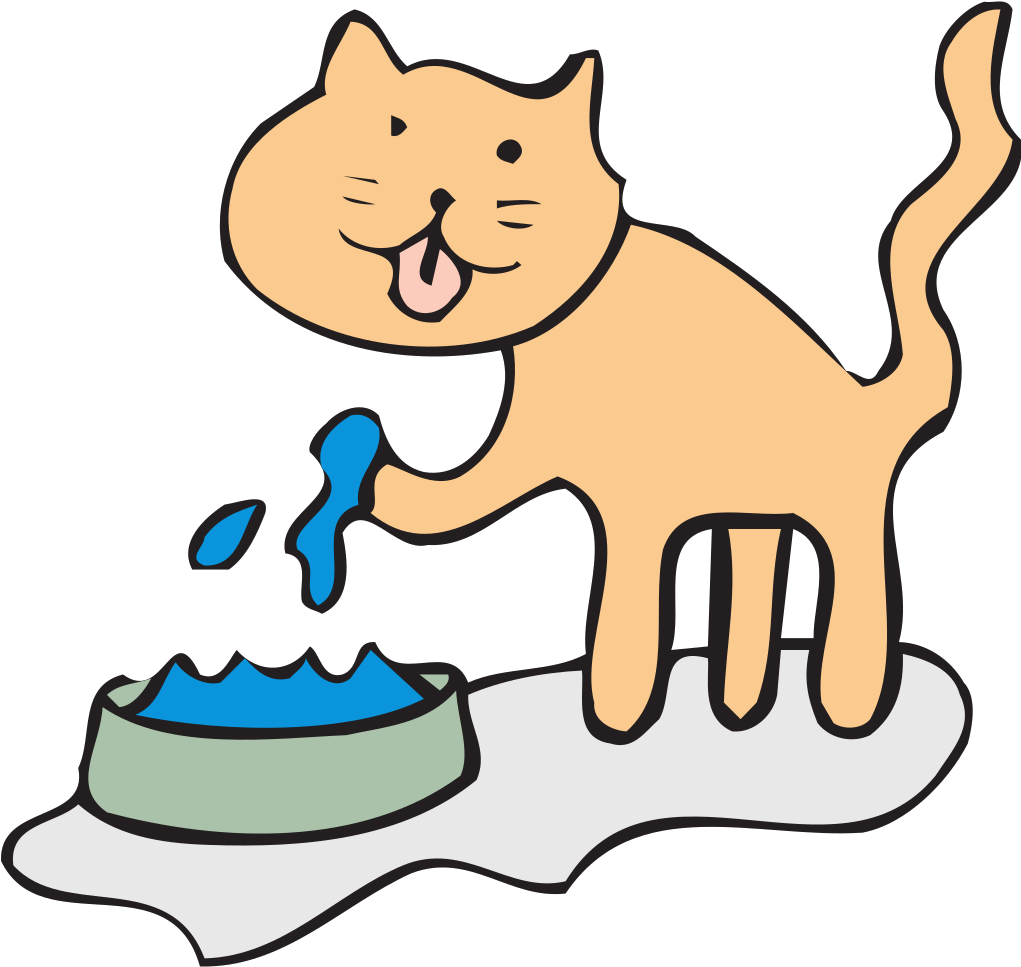 Clipart Cat Bath - Animal Drink Water Clipart Png Transparent Png (761x720), Png Download