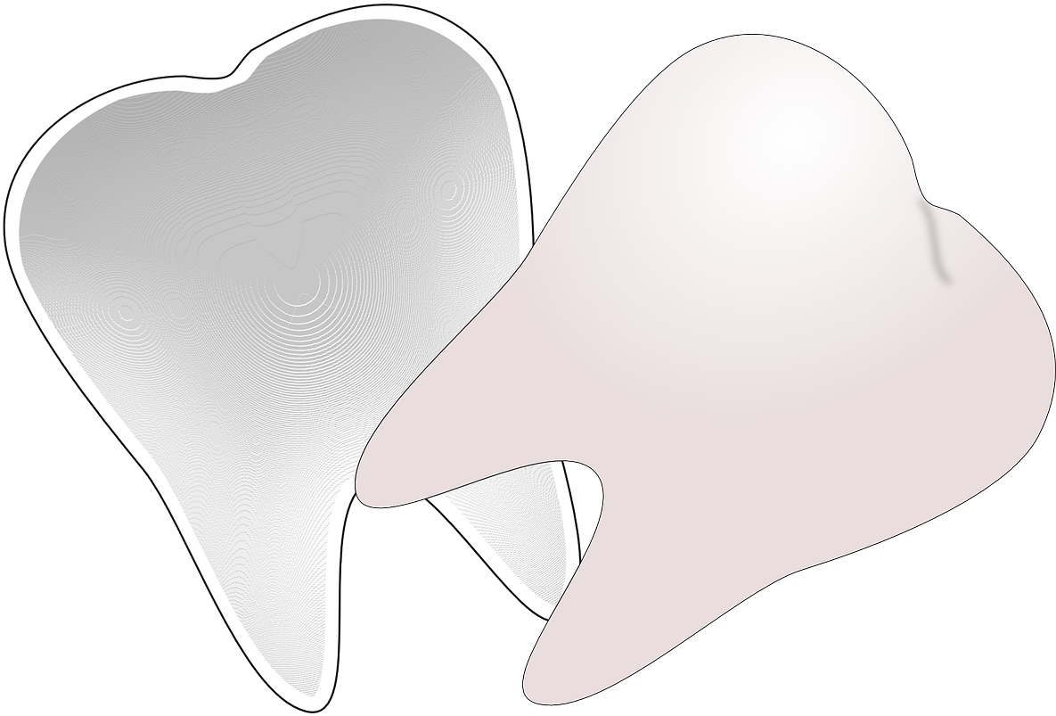 Tooth Clip Art - Png Download (800x539), Png Download