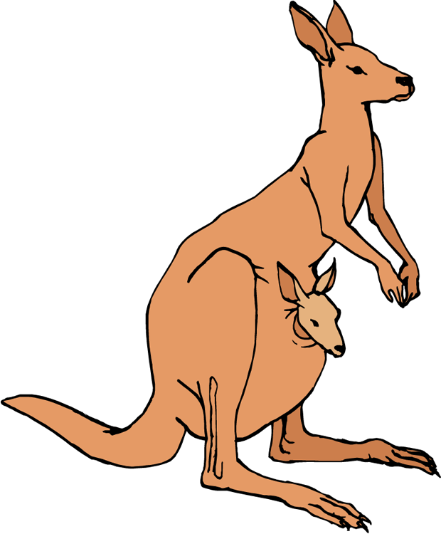Free Kangaroo Clipart - Clipart Of Kangaroo - Png Download (620x750), Png Download