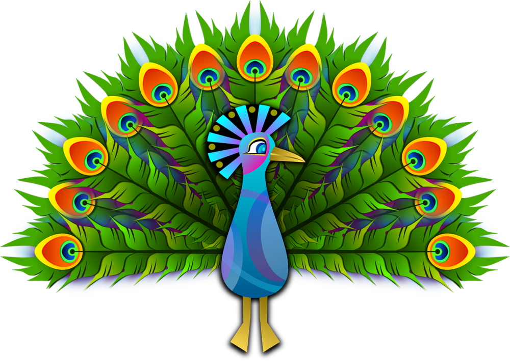 Peacock - Peacock Clipart Transparent Background - Png Download (800x575), Png Download