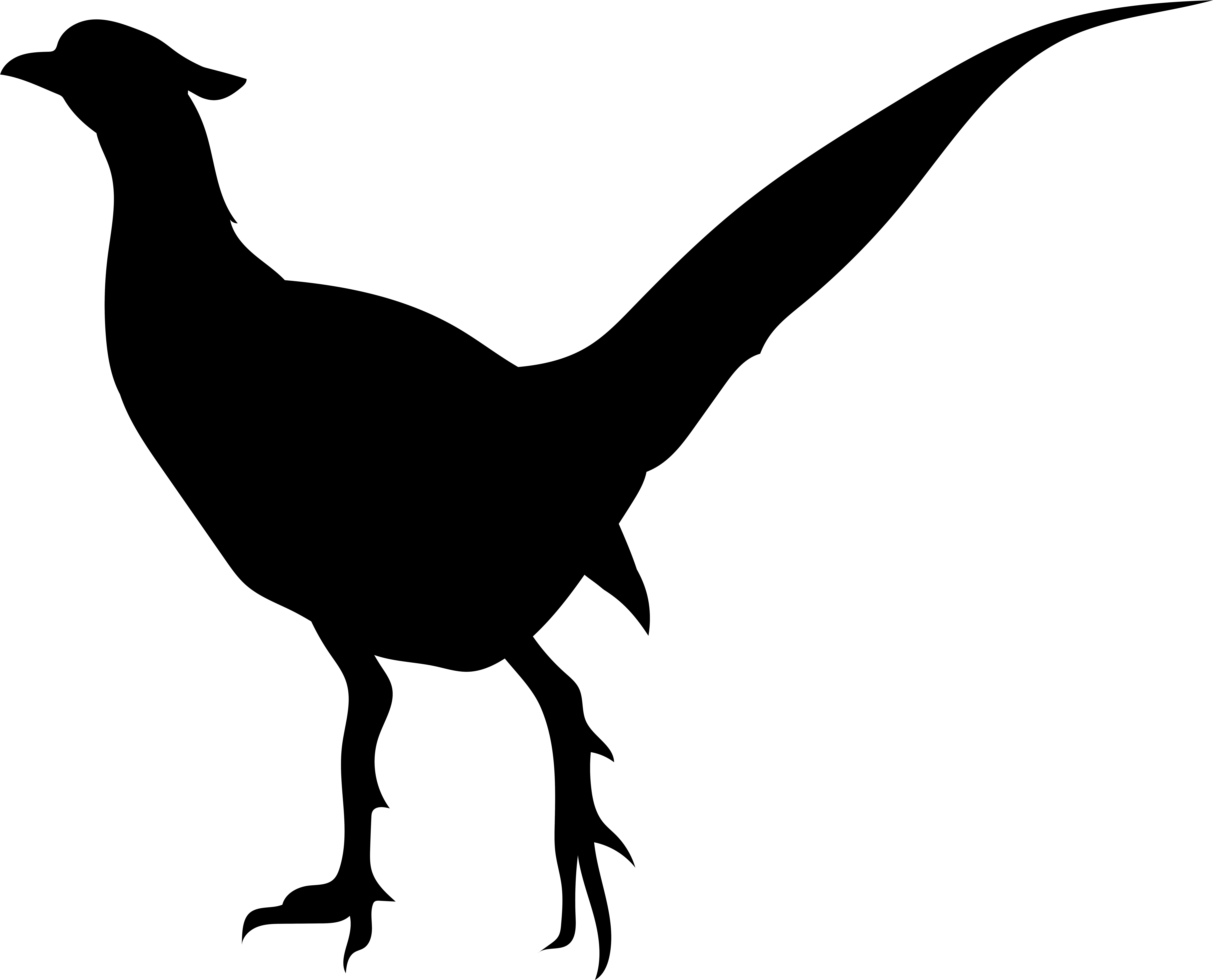 Bird Silhouette Clipart Transparent Png (8000x6462), Png Download