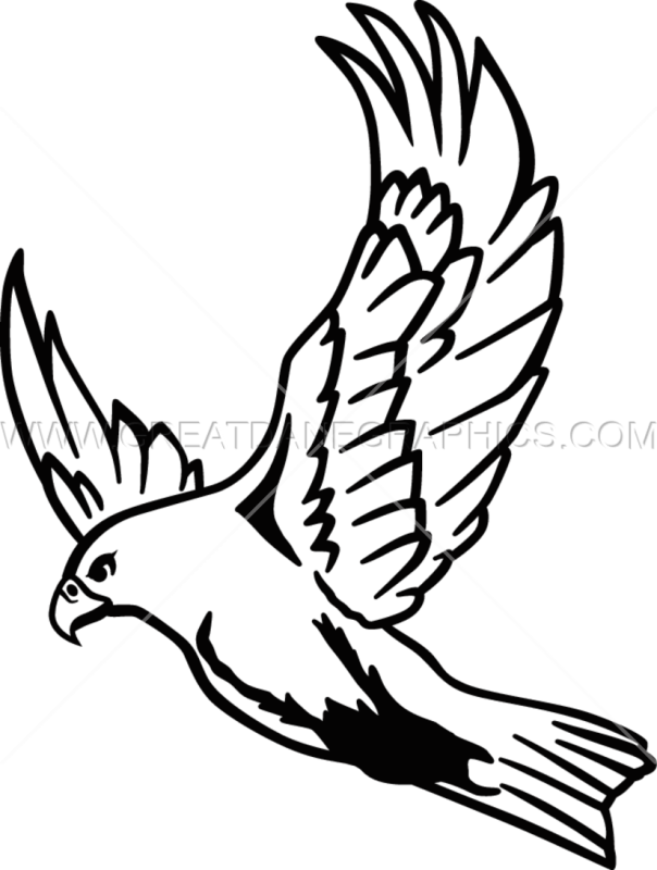 Clip Art Freeuse Download Flying At Getdrawings Com - Flying Falcon Drawing Easy - Png Download (604x800), Png Download