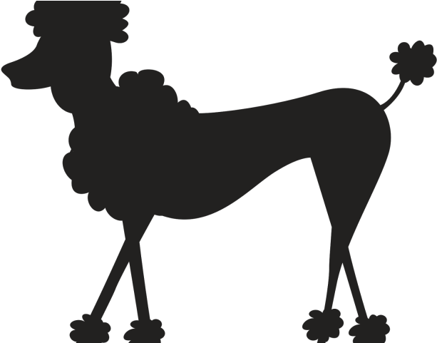 Paris Clipart Paris Poodle - Silueta De Perro De Paris - Png Download (640x480), Png Download