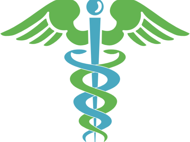 Health Clipart Community Health - Caduceus Vector - Png Download (640x480), Png Download