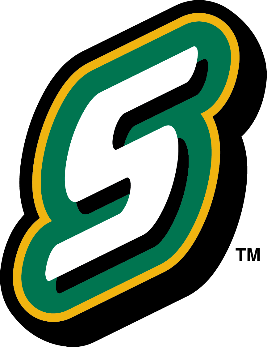 @lions Baseball - Southeastern Louisiana Lions Logo Clipart (865x1122), Png Download