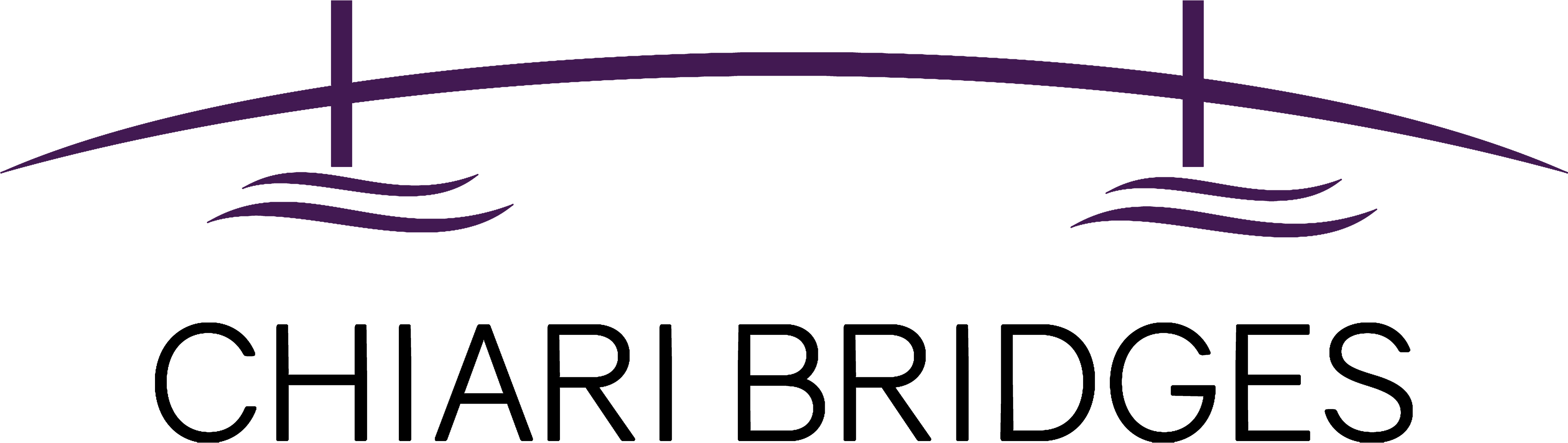 Ventral Brainstem Compression - Chiari Malformation Clipart (4096x1417), Png Download