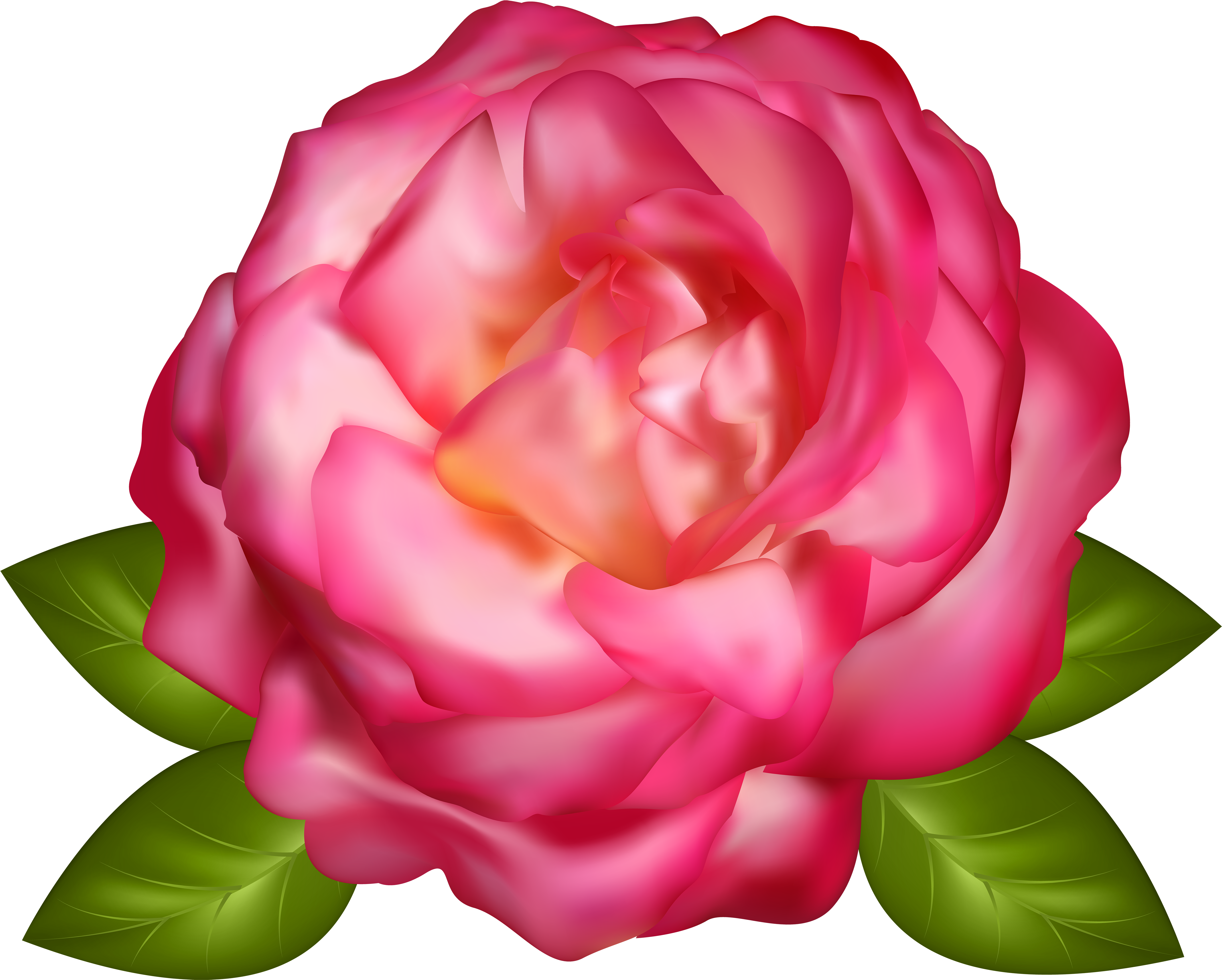 Roses - Rose Clipart (5000x4008), Png Download