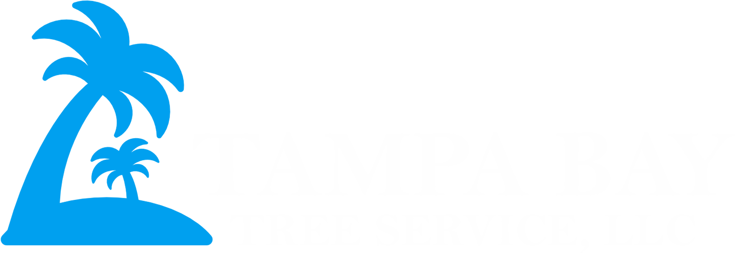 Follow - Tampa Bay Tree Service, Llc Clipart (1642x603), Png Download