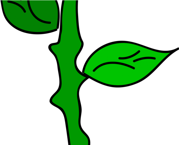 Cartoon Flowers Png Clipart (640x480), Png Download