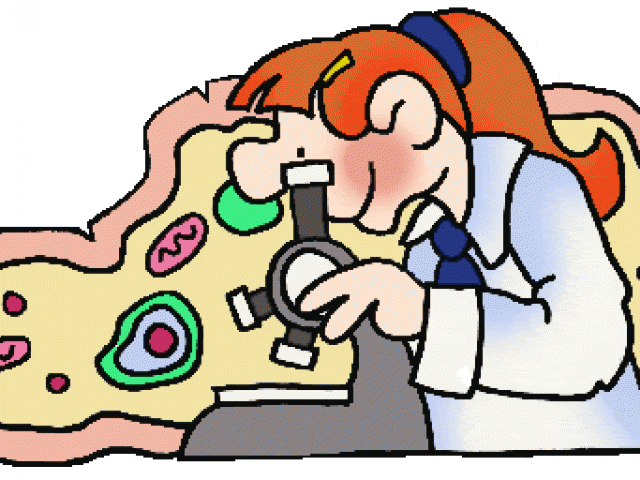 Clip Transparent Stock Science Word Cliparts Free Download - Drawing Of Cell Theory - Png Download (640x480), Png Download