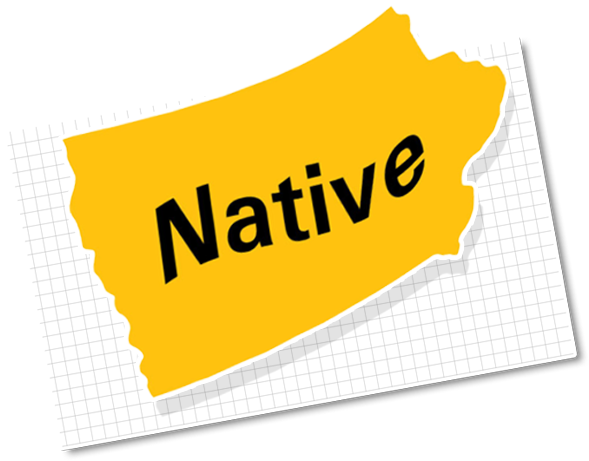 Label Clipart (600x600), Png Download