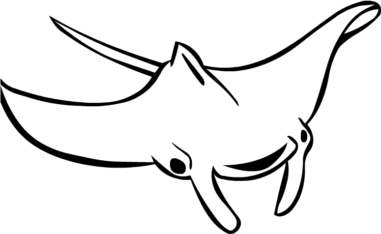 Manta Ray Coloring Page - Manta Ray Clipart Black And White - Png Download (800x600), Png Download