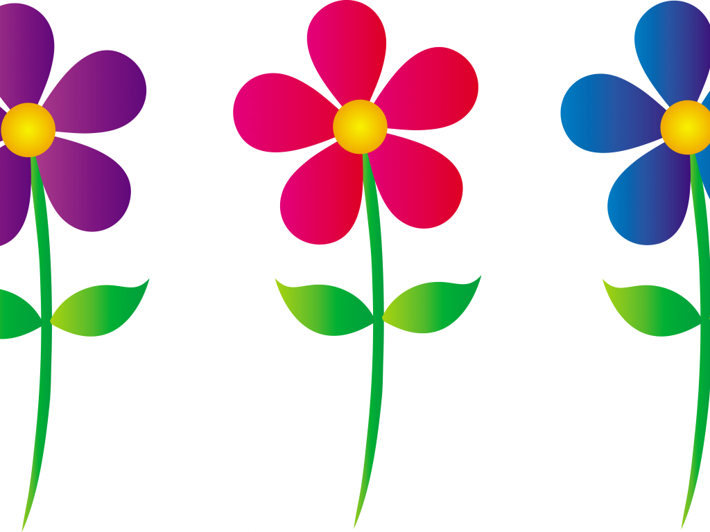 Daisy Clipart Blue Daisy - Flowers Clip Art Borders - Png Download (640x480), Png Download