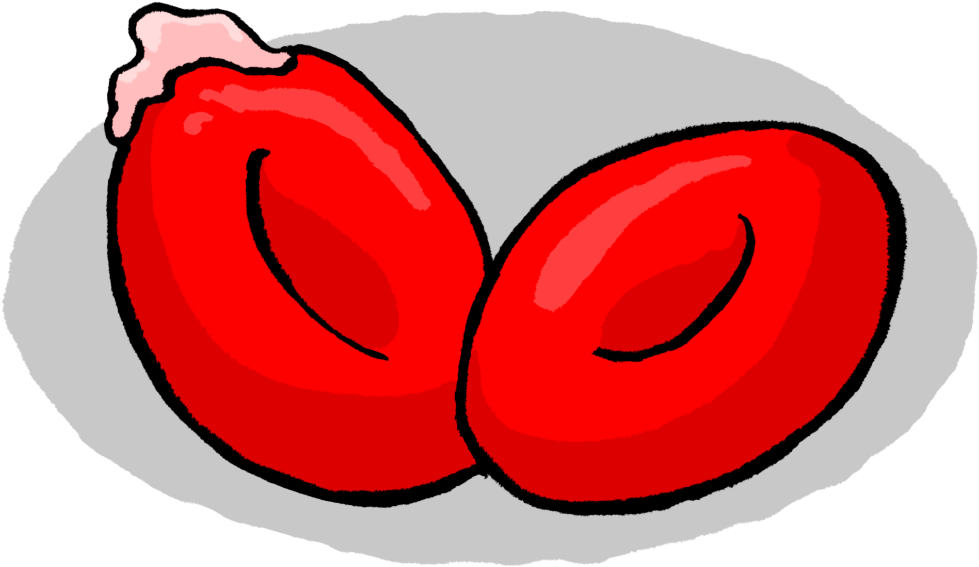 Globulo Pk - Portable Network Graphics Clipart (1024x589), Png Download