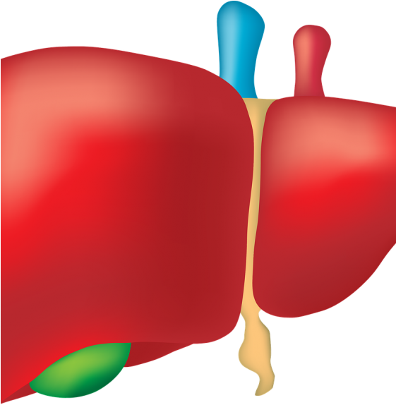 World Hepatitis Day 2018 Theme Clipart (560x600), Png Download