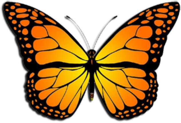 Monarch Butterfly Clipart August - Monarch Butterfly Clipart - Png Download (640x480), Png Download