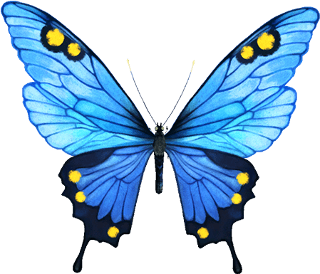 Official Infinity Blade Website - Clip Art - Png Download (1024x622), Png Download